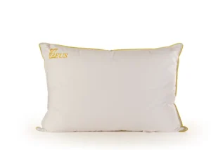 بالش پر سفارشی زئوس